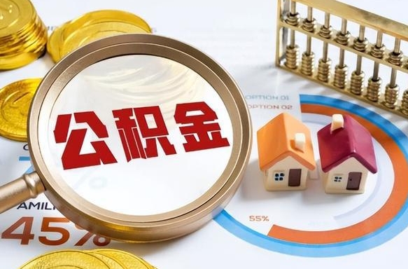 阿拉尔公积公提取（2019提取公积金的方法）